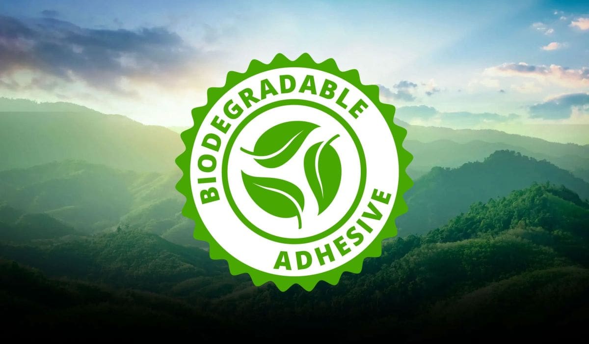Biodegradable adhesives label mockup on top of forest background